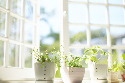 Improve Your Home's Indoor Air Quality
