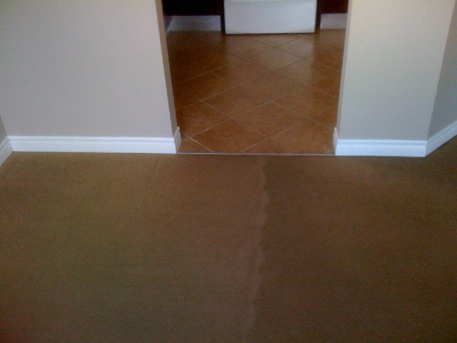 Residential Carpet Cleaning