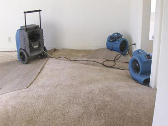 Go Green Carpet Cleaning -  Restoration